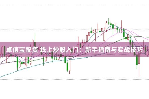 卓信宝配资 线上炒股入门:新手指南与实战技巧